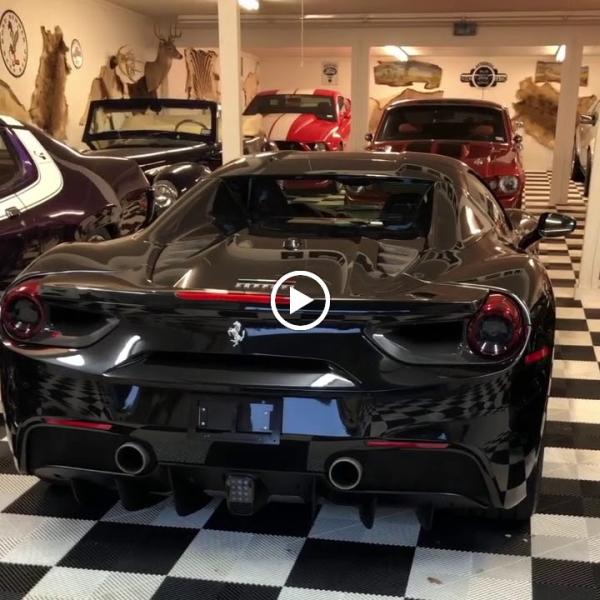 Superior Suds Mobile Automotive Detailing LLC