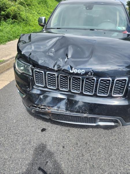 Finish Line Auto Body