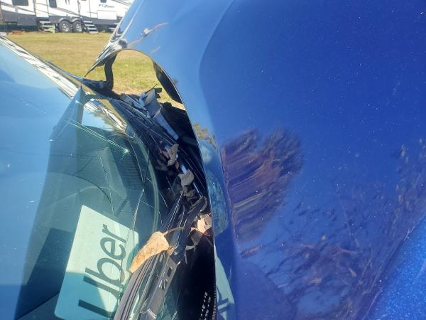 Bay Street Paint & Body