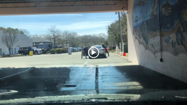 Hampton Autowash