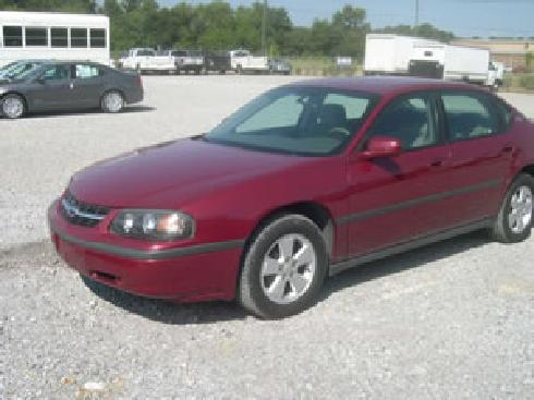 Action Collision Ctr Llc