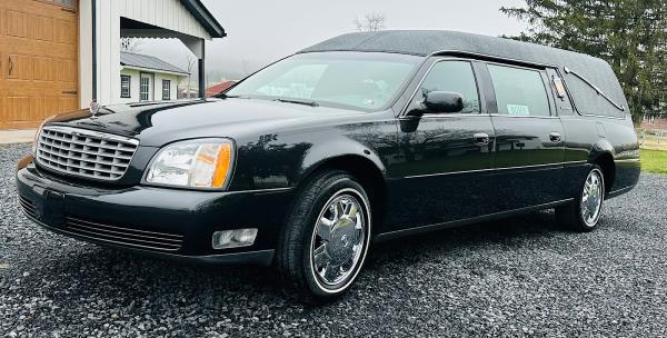 Shaded Glen Detailing