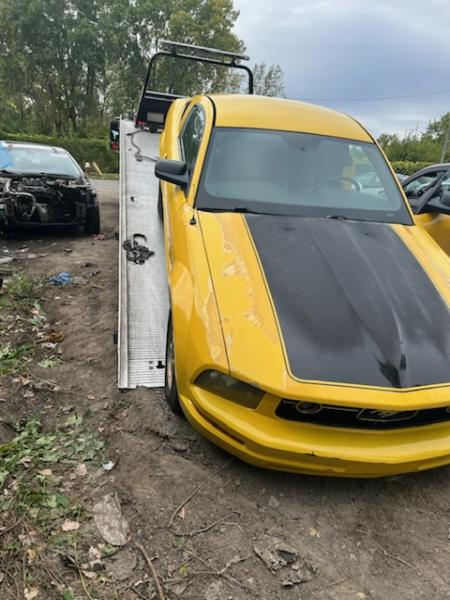 Moe's Cash For Junk Cars