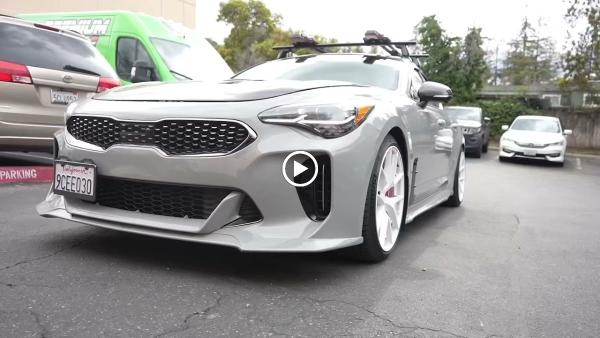 Premium Tint and Wrap #2