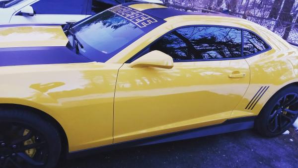 Window Tinting Express