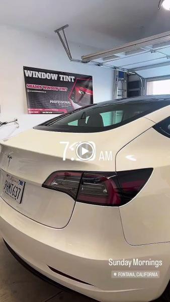 Shades Window Tinting