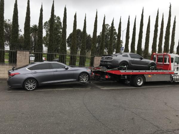 Fox & Sons Transport