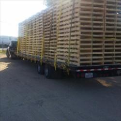 Jack Daniel's Delivery Service