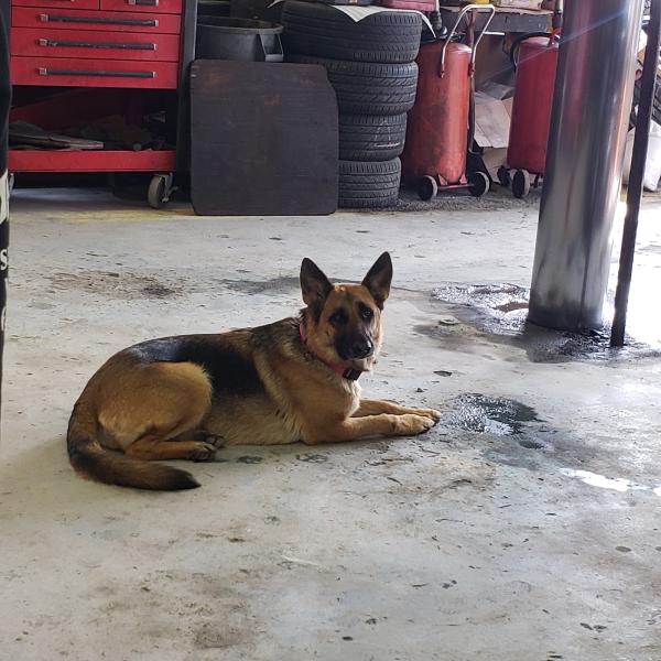 JK Auto Service & Tires