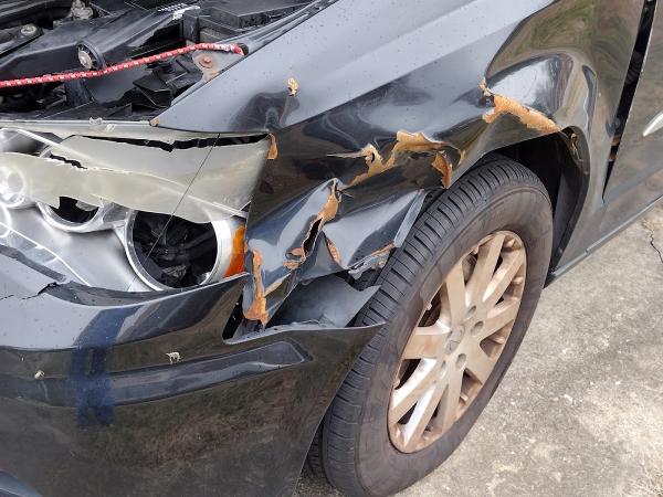 Azalea Auto Body Inc