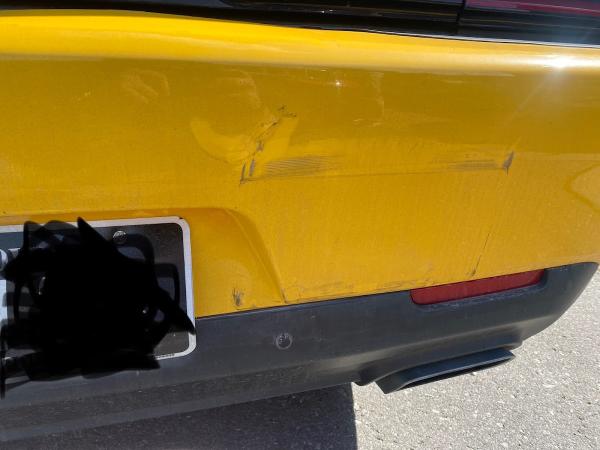 Dent Eliminators