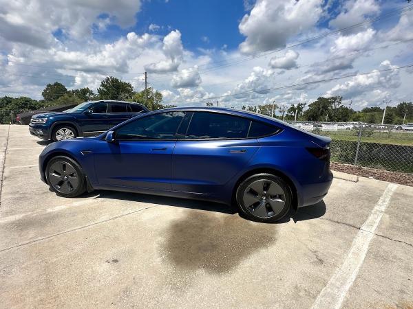 Platinum Auto Armor Llc.