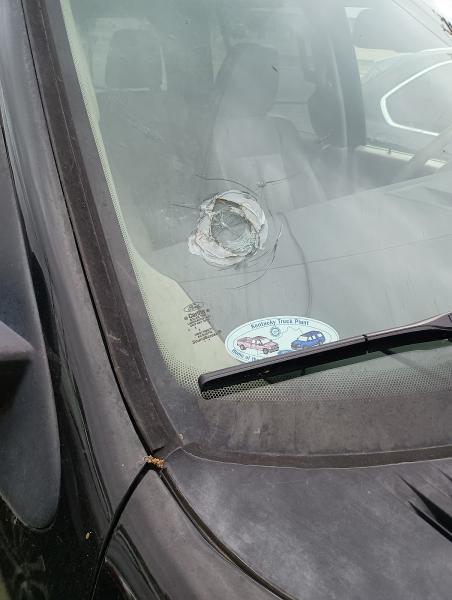 BCS Auto Glass Llc.