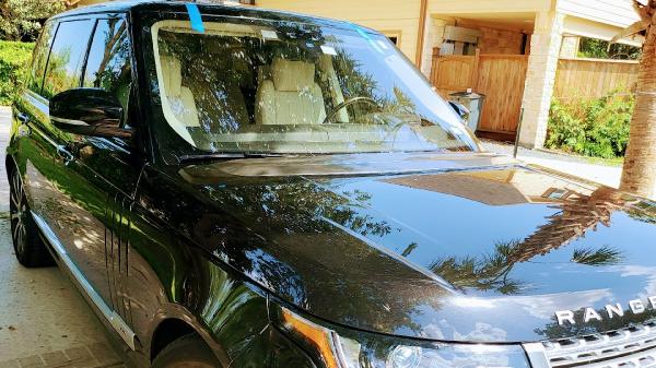 TLC Auto Glass