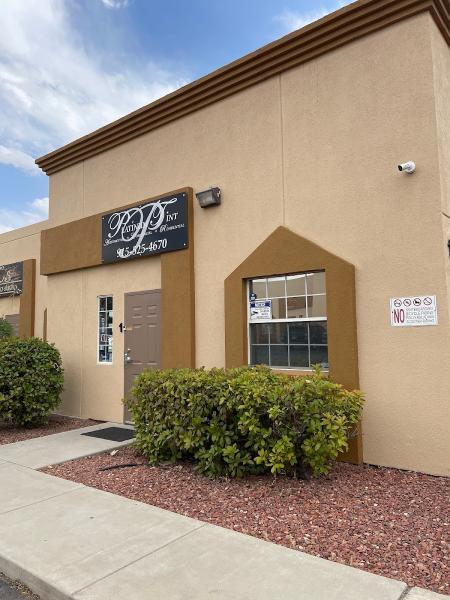 Platinum Tint & Restyling