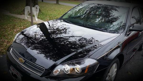 T & P Auto Body Repair/Paint Center