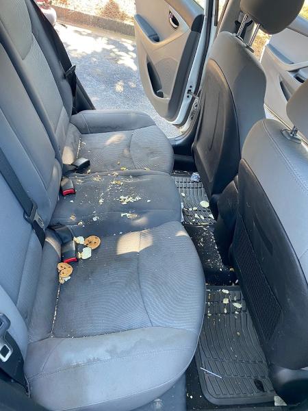 Royalty Auto Detailing