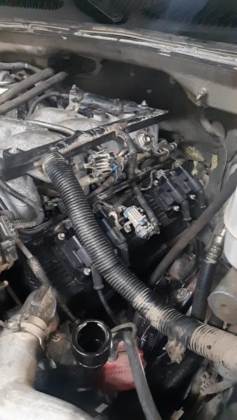 Belly Brothers Auto Tech
