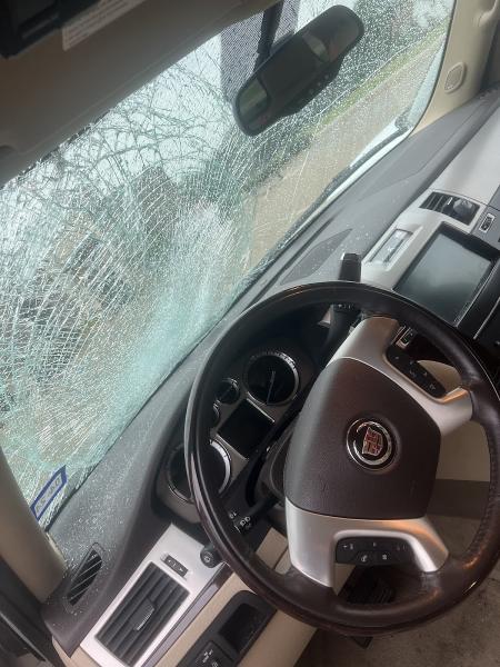 David's Autoglass Rllp