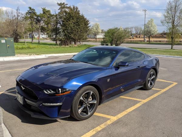 Eclipse Tint and Accessories