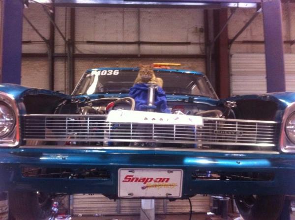 Dupree Tire