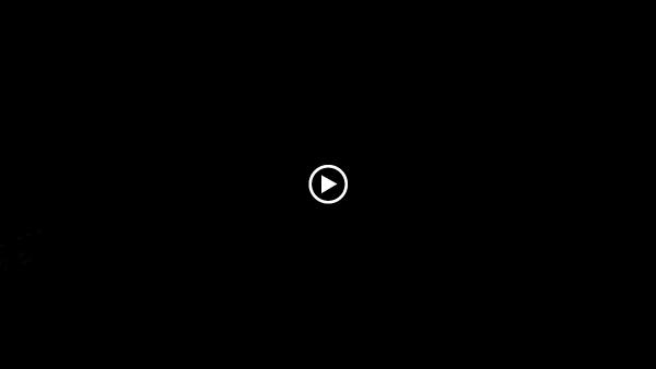 Wildcat Window Tinting & Spray On Bed Liners