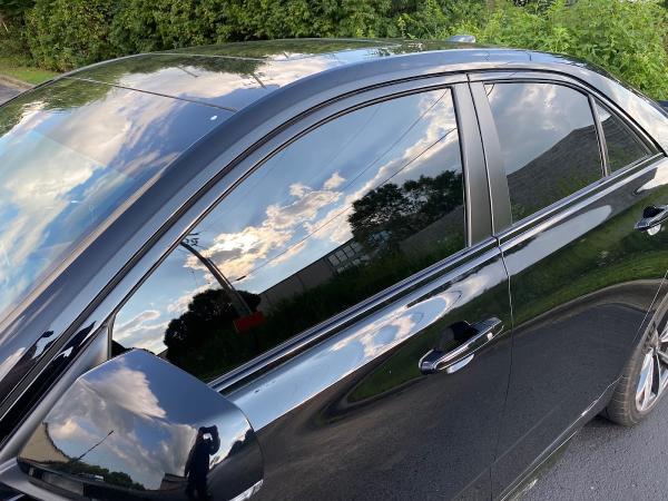 Wildcat Window Tinting & Spray On Bed Liners