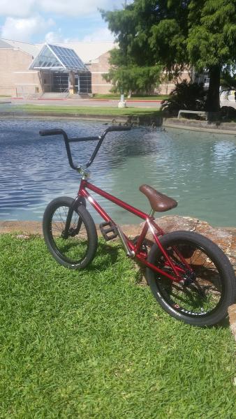 Alamo Custom & Collision