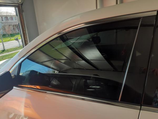 Tint Worx