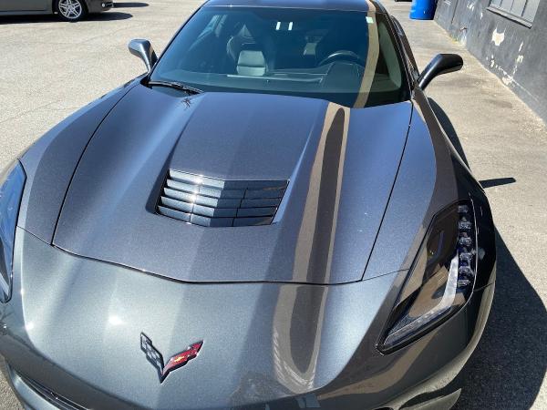 Trophy Auto Sanchez Detailing