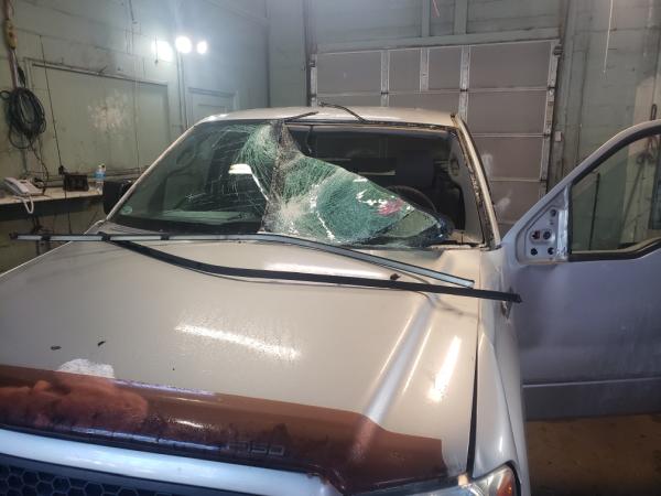 Lake Auto Glass LLC