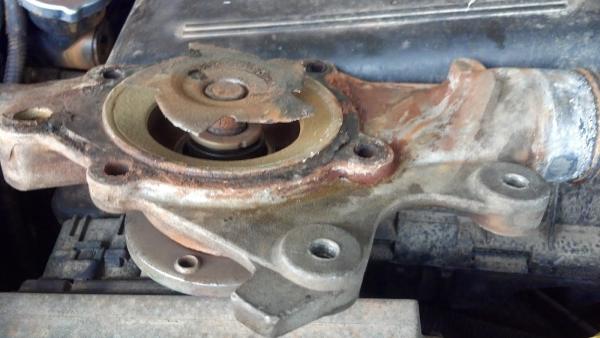 Doneright Automotive Services