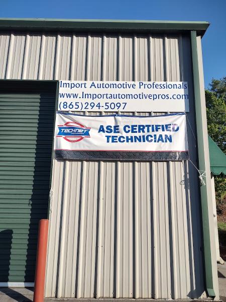 Import Automotive Professionals