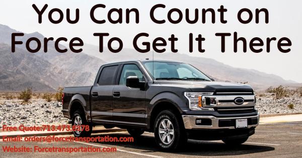 Force Transportation Inc/Lti