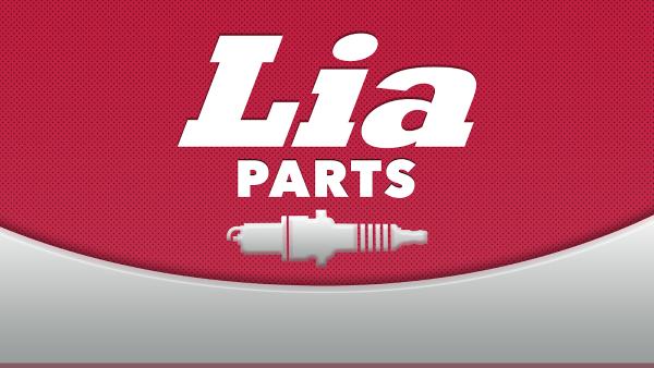 Lia Hyundai Hartford Parts Department