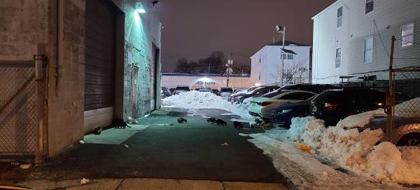 Jersey City Auto Body