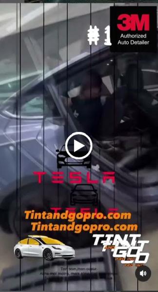 Tint and Go Pro
