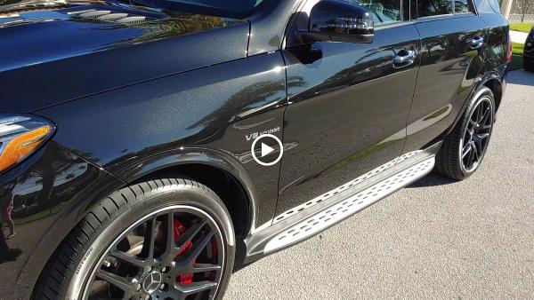 Golden Shield Sunrise