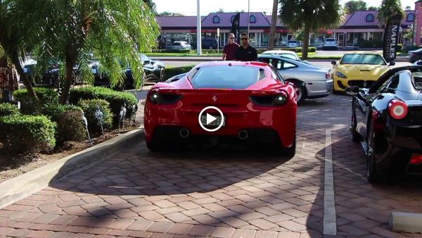 Naples Motorsports Inc.