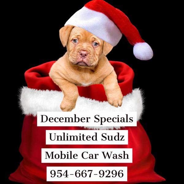 Unlimited Sudz Mobile Detail Services