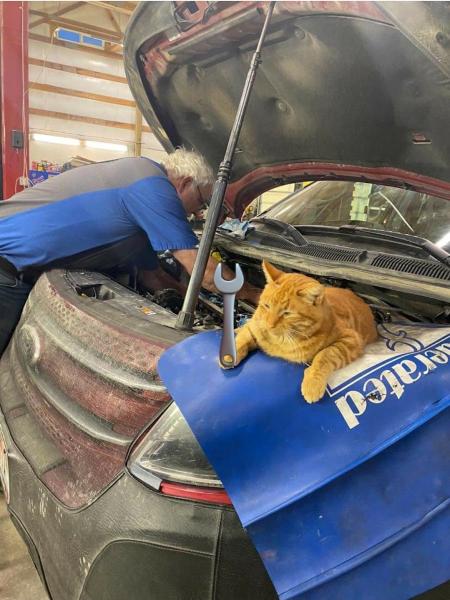 Johnson Sales & Repair