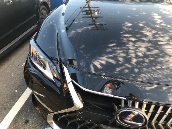 On Point Auto Body