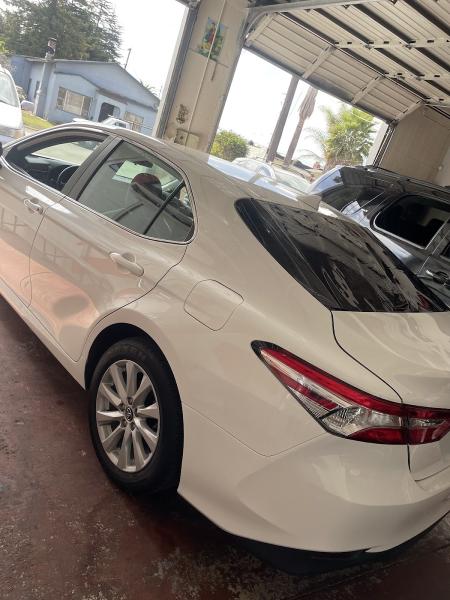 Zamex Tinting