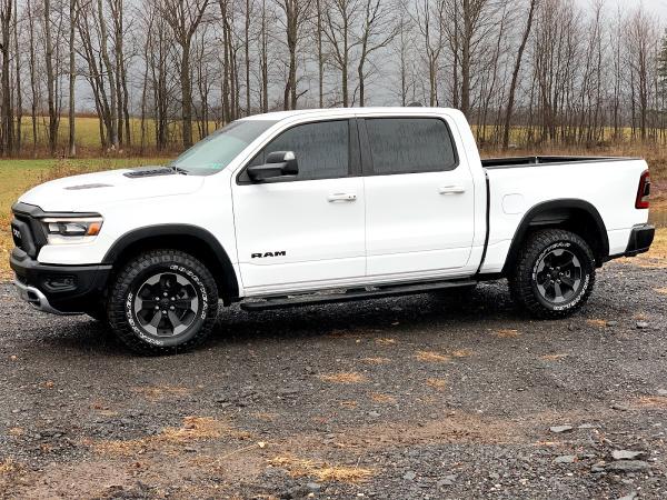 Backforty Window Tinting