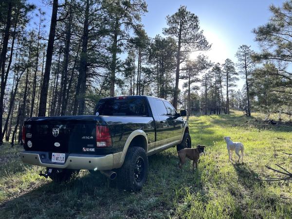 Damage Control Collision