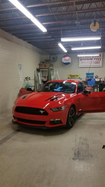 Evolution Window Tint