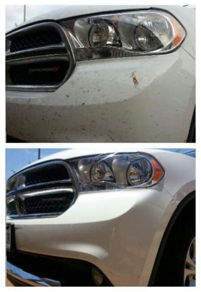 Xtreme Auto Detailing