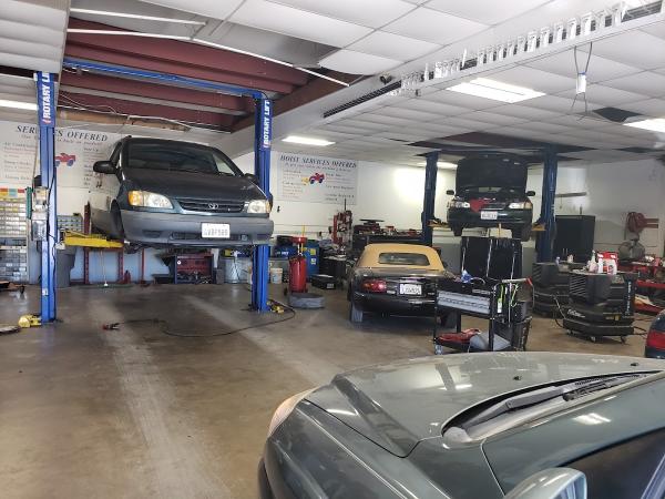 Don Young Automotive