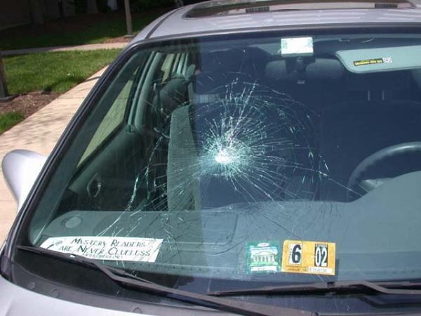 Magoo's Auto Glass