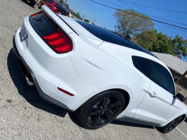 VIP Window Tint